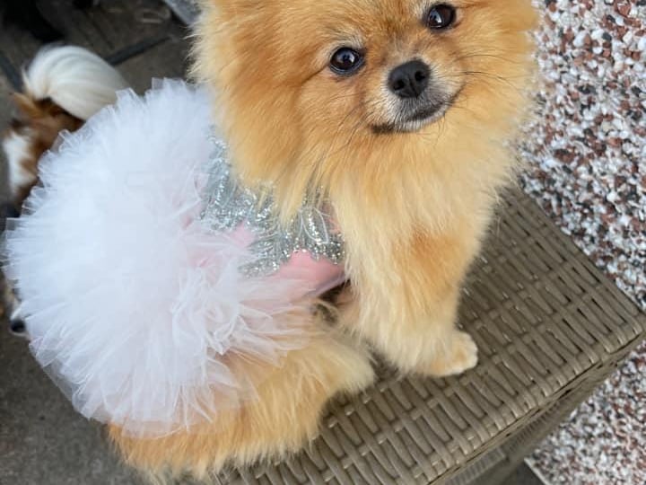 Tallulah