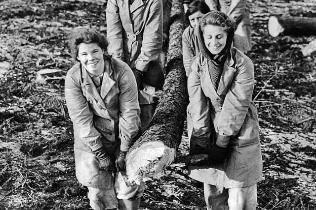 Photo submissions needed for a People’s Picture celebrating the role of women working in forestry today