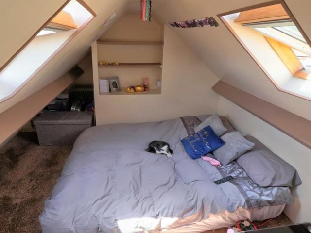 Peace and quiet for the cat on the bed in the attic room, which is currently accessed via ladders from the first floor.
