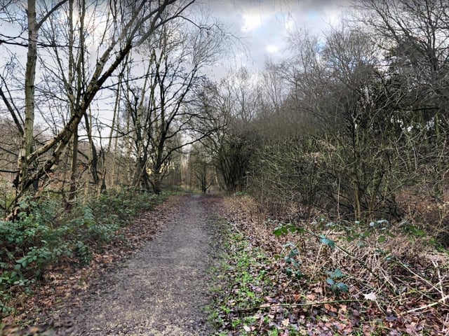 There are more various routes to follow on your way around Armthorpe Park while enjoying all the colours in the fresh Autumnal air.