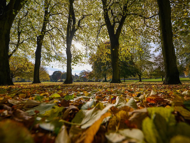 Autumnal Mansfield