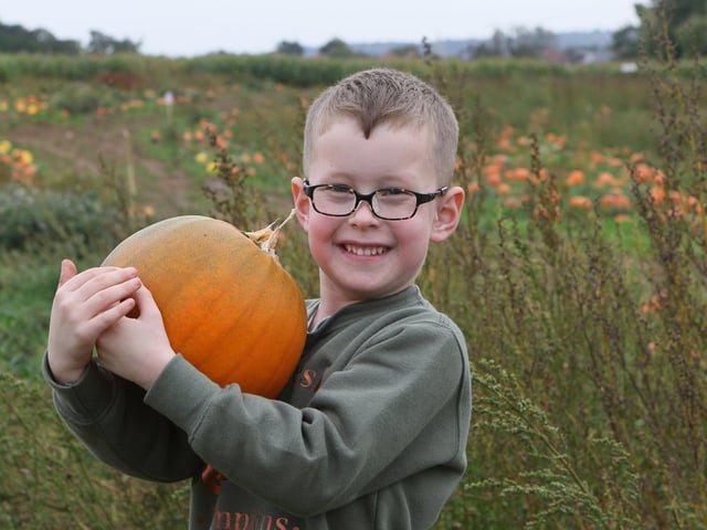 George White with his selection of pumpkins.