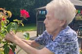 Berry Hill Park resident Yvonne tying bug houses on plants