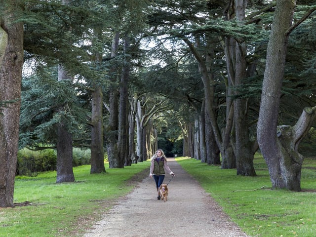 Enjoy a family day out at one of these stunning venues