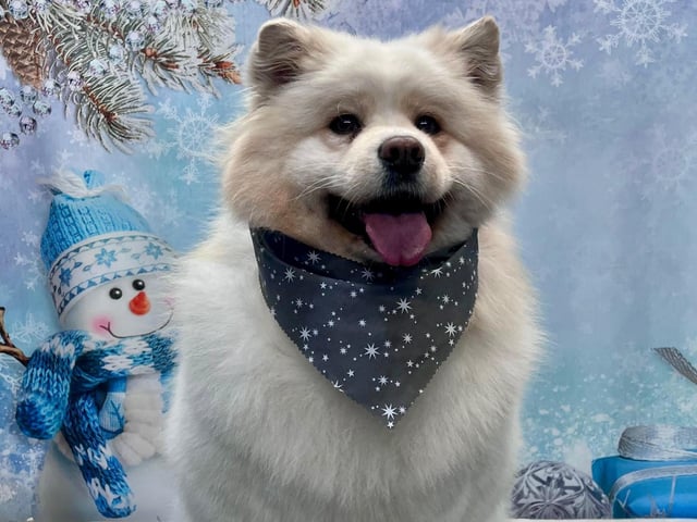 Strike a pose and show off your new look