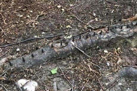 An example of some of the medieval traps set to cause serious harm to cyclists