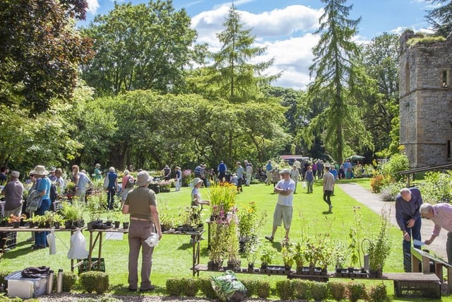 Lovers of plants will be in their element in the beautiful gardens of the Archbishop's Palace next to Southwell Minster on Sunday (11 am to 4 pm). For a wide selection of plants, including rare species, will be on sale from nurseries throughout the country at a special fair. Visitors can explore the amazing gardens too.