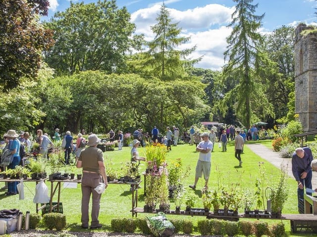 Lovers of plants will be in their element in the beautiful gardens of the Archbishop's Palace next to Southwell Minster on Sunday (11 am to 4 pm). For a wide selection of plants, including rare species, will be on sale from nurseries throughout the country at a special fair. Visitors can explore the amazing gardens too.
