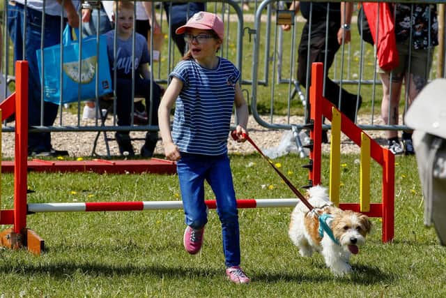 The show has something to offer for all the family - including an agility dog show.