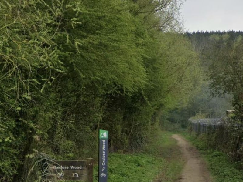 A popular dog walking woods, Oxclose Wood is situated next to Mansfield Woodhouse Railway station. It is a perfect place to experience the transition of summer to autumn.