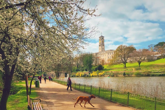 Highfields Park is made up of 121 acres of public space, in the west of Nottingham. Situated near the University of Nottingham campus, this park is well-known for its boat hire on the lake, kids play area and the variety of events at the Lakeside Arts centre.
Picture by Liyuan Liu