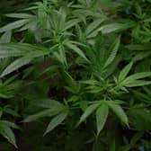 Nottinghamshire Police have issued a warning to landlords after a property was left badly damaged by an illegal cannabis grow.