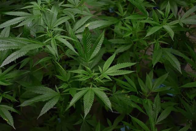 Nottinghamshire Police have issued a warning to landlords after a property was left badly damaged by an illegal cannabis grow.