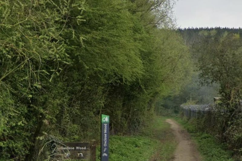 A popular dog walking woods, Oxclose Wood is situated next to Mansfield Woodhouse Railway station. It is a 3.4-km circular trail and takes the average walker just under an hour to complete.