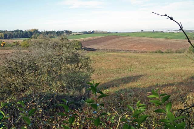 The proposed development site off Cauldwell Road.