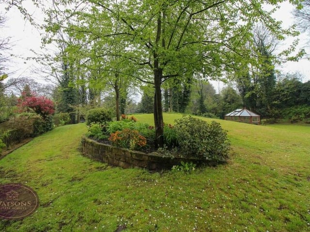 No-one can argue that the garden at the Church Hill property is not environmentally friendly.