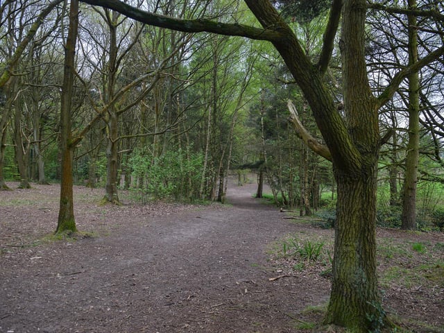 Berry Hill Park also has a wealth of history. The site was used during the 20th century as a recreation ground for the mining families who lived in the area. The park has a 4.4 star rating on Google reviews.