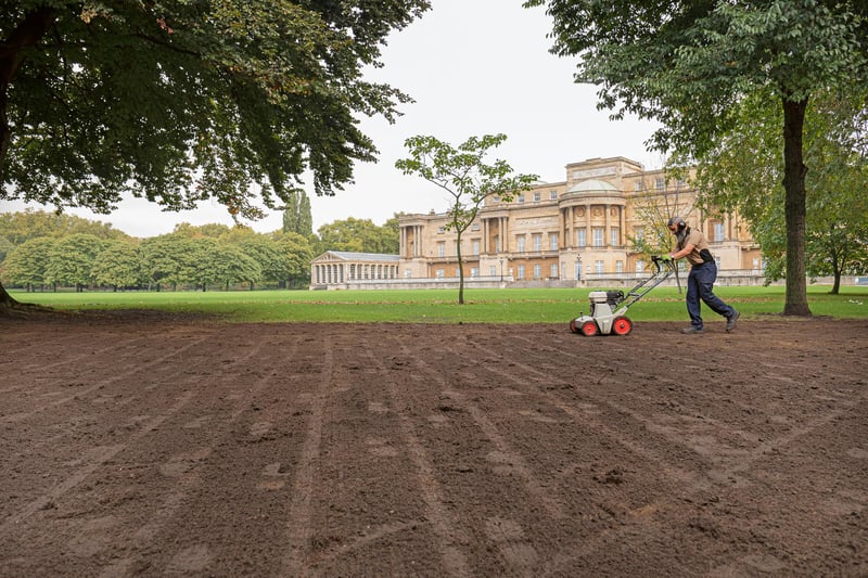 A member of the gardening team at Buckingham Palace tends to the lawns that are usually in need of repair after a busy summer of use for royal events