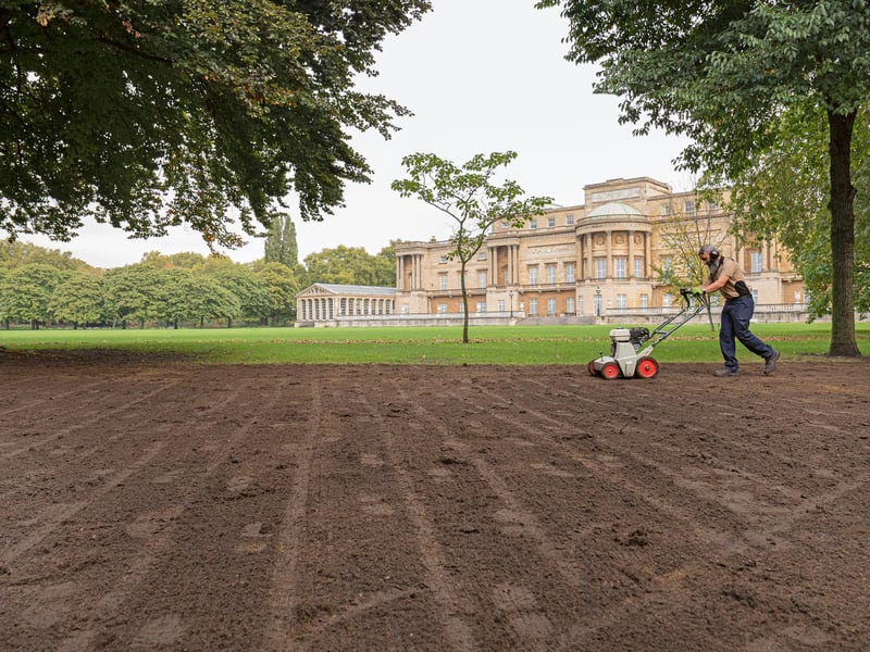 A member of the gardening team at Buckingham Palace tends to the lawns that are usually in need of repair after a busy summer of use for royal events
