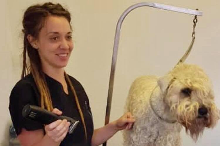 Rebecca the Dog Groomer was a popular suggestion. Fully Qualified Dog Groomer with 17 years of experience, Rebecca is based at The Paddocks, Mansfield. To make contact, you can call 07784 364037 or email rebeccapinder123@gmail.com