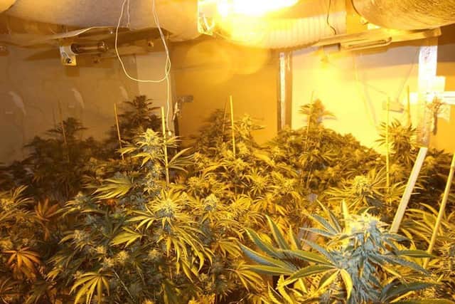 Nottinghamshire Police carried out warrants in Bulwel and Bestwood and one man was arrested