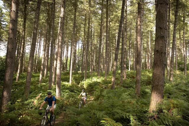 Sherwood Pines boasts five cycle and mountain bike trails