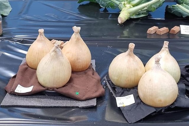 Display of onions