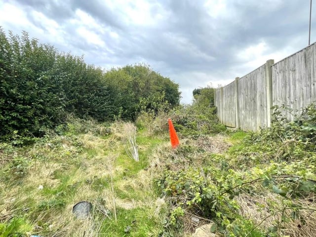 The back garden is overgrown and unkempt at present. But it's a good-sized space, so you can well imagine how attractive it could be.