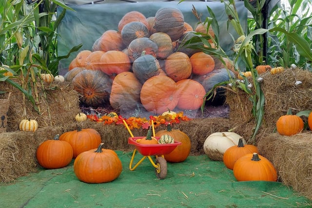 There are plenty of photo opportunities available, including this pumpkin picture set.