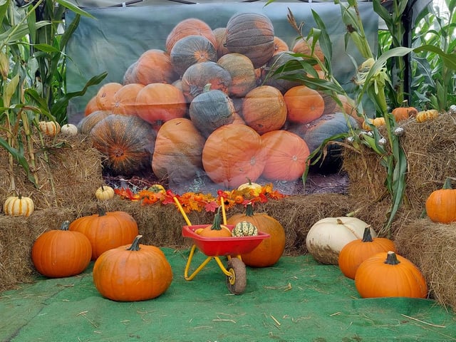 There are plenty of photo opportunities available, including this pumpkin picture set.