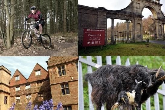 Sunny days sorted: 11 of the best outdoor venues to visit around Mansfield ...