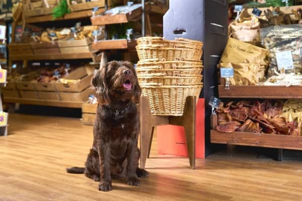 Pes & Friends Mansfield is now stocking Fidelis dog food. Photo: Submitted
