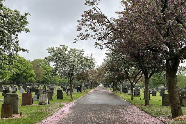Mansfield Cemetery