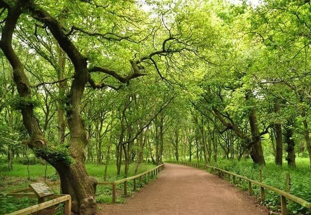 A fascinating walk through Sherwood Forest, taking in the site of St Edwins Chapel, Major Oak, and a number of other historical sites, is one of many you can try this weekend.
