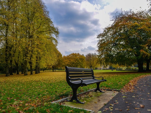 Autumnal Mansfield