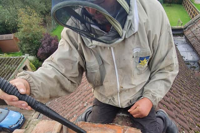 A beekeeper on a roof removing a bees nest. Photo: Mansfield Honey Bees