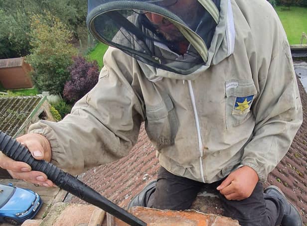 A beekeeper on a roof removing a bees nest. Photo: Mansfield Honey Bees