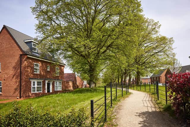 An avenue of mature trees forms a key route through a development for pedestrians and cyclists, connecting homes with the surrounding landscape