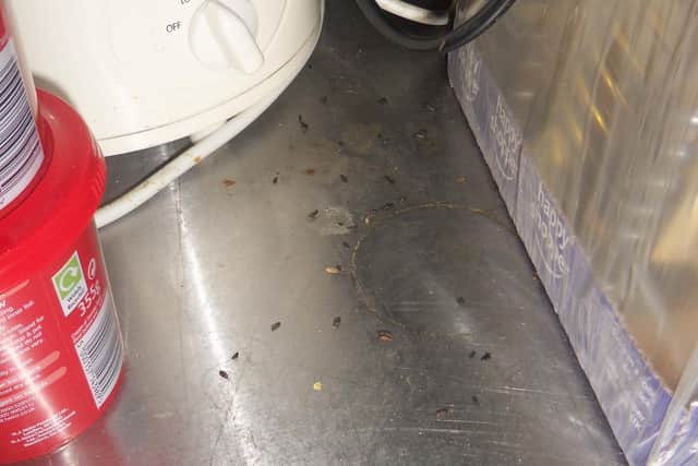 Mouse droppings found in the kitchen at what was then Poole's Plaice in Sutton in 2021