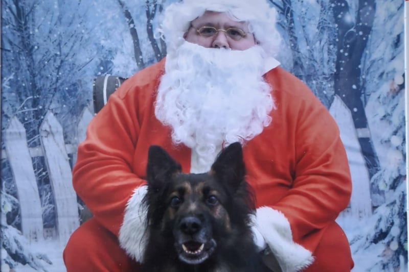 Bruno with Santa Paws last Christmas at On All Pawz Professional Pet Services. Sadly, Bruno died in August this year. His parents were very proud of him and wanted to share this adorable photo.