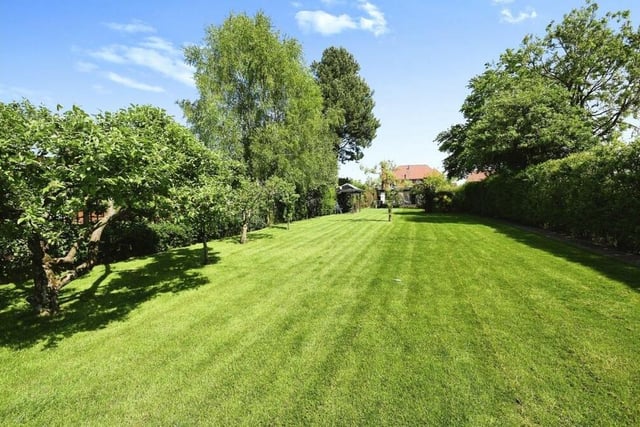 The bulk of the back garden, which is enclosed and well established, comprises this lengthy, well-maintained lawn. There is also a wide range of shrubs, borders and trees.