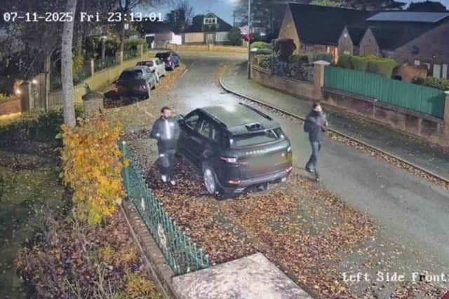 Police want to speak to these two people following the keyless theft of a car.