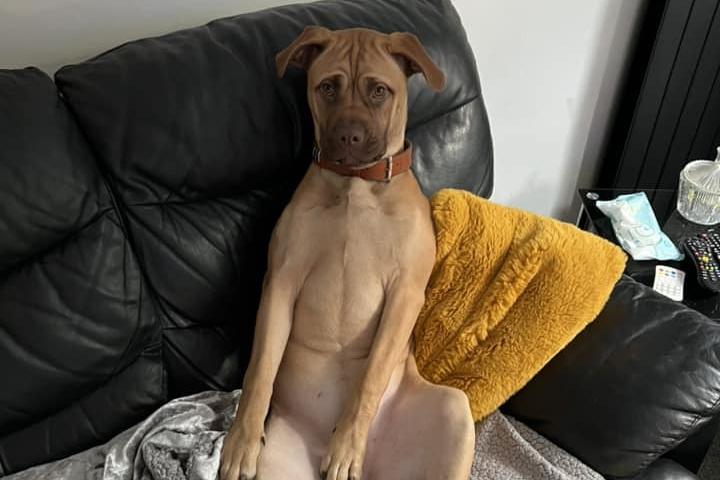 One-year-old Leena likes to sit like a human.