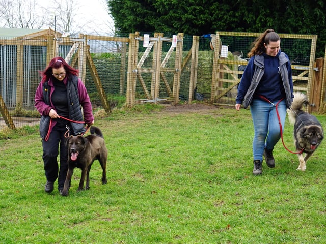 Volunteers are always needed at the site, with responsibilities ranging from dog walks, feeding, cleaning, tidying, to general upkeep and maintenance of the site.