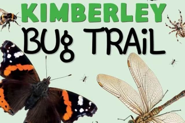 Go on a creepy crawly adventure with the Kimberley Bug Trail. Photo: Submitted