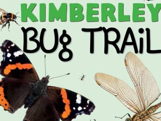Go on a creepy crawly adventure with the Kimberley Bug Trail. Photo: Submitted