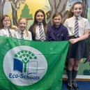 Proud pupils at Skegby Junior Academy show off their green flag.