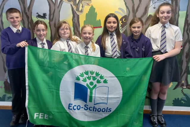 Proud pupils at Skegby Junior Academy show off their green flag.