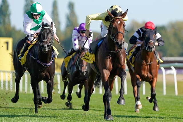 (PIERRE LAPIN) – Pierre Lapin, pictured winning at Newbury, could develop into a top-class sprinter. (Photo by Alan Crowhurst/Getty Images)