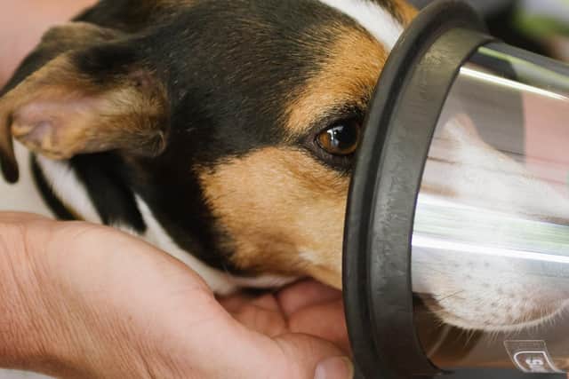 Stock image credit Smokey paws equipment with NFRS